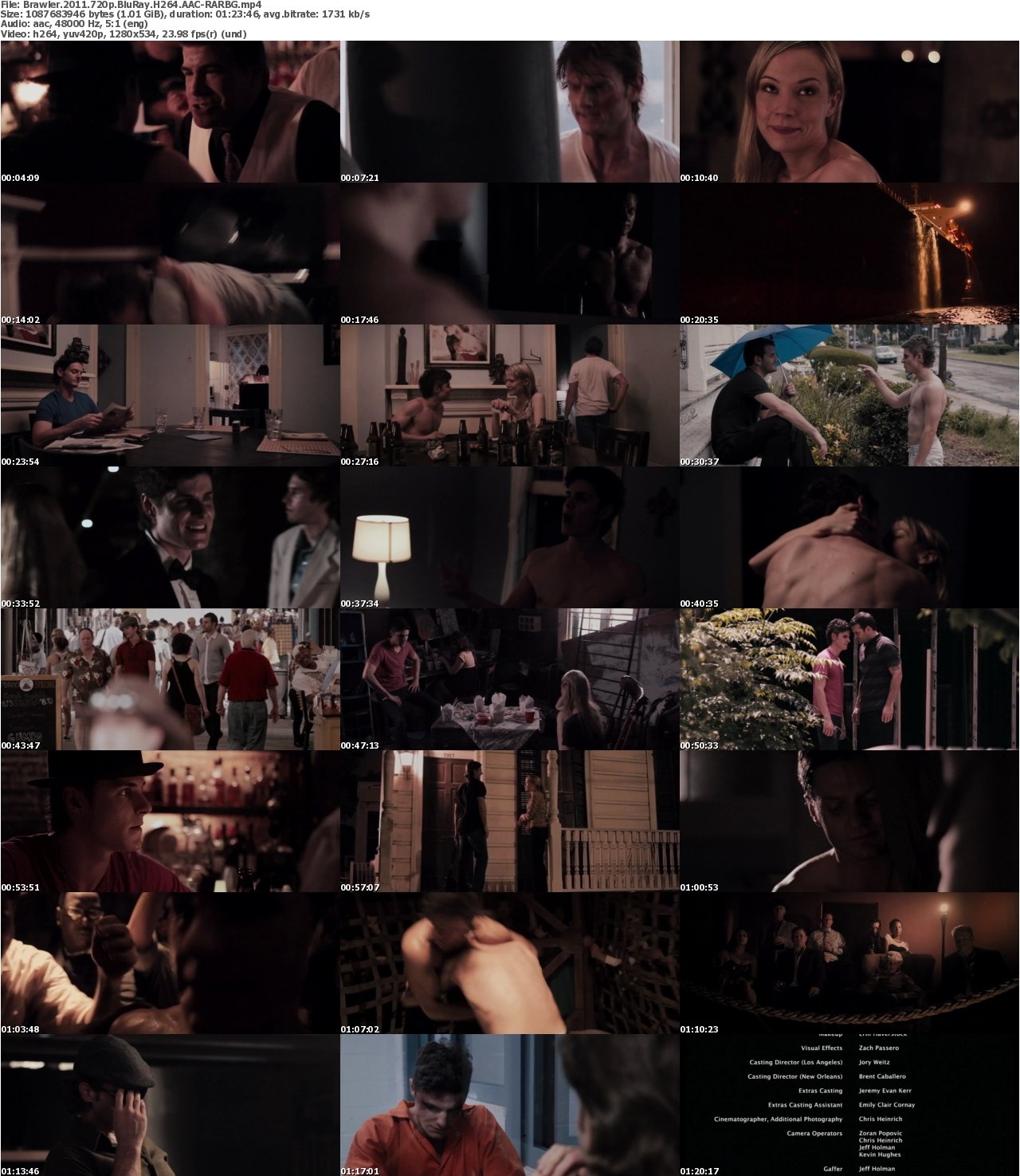 Brawler 2011 720p BluRay H264 AAC-RARBG