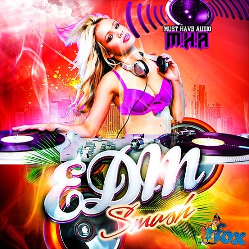 Temporary Movement Audio EDM Smash (2015)
