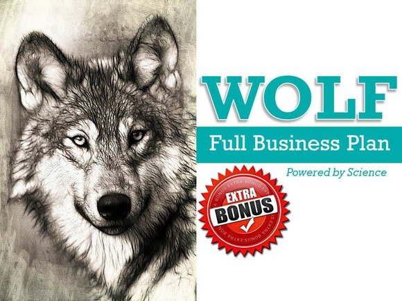 CreativeMarket+-+Wolf+Full+Business+Plan+PowerPoint