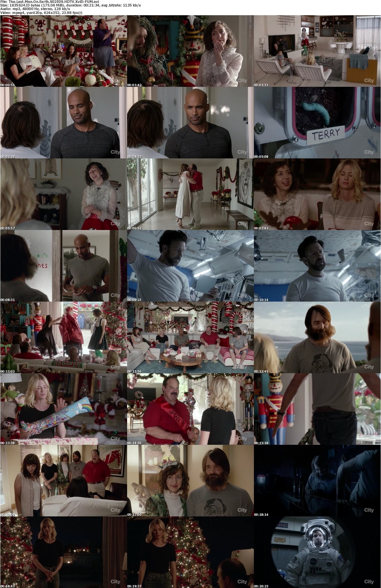 The Last Man On Earth S02E09 HDTV XviD-FUM