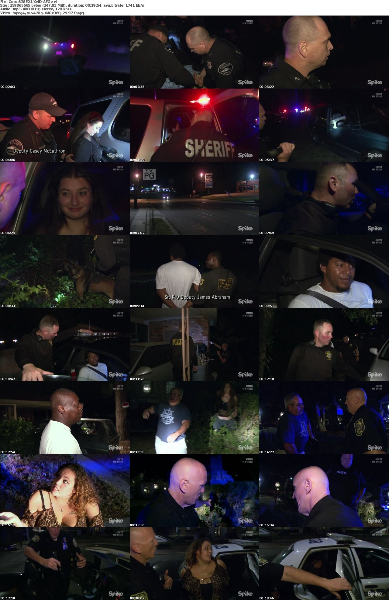 Cops S28E21 XviD-AFG