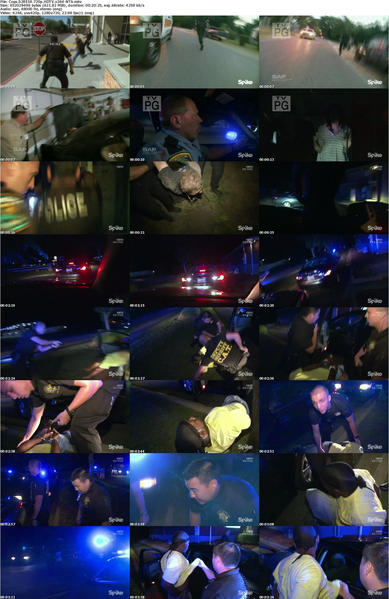 Cops S28E19 720p HDTV x264-NTb