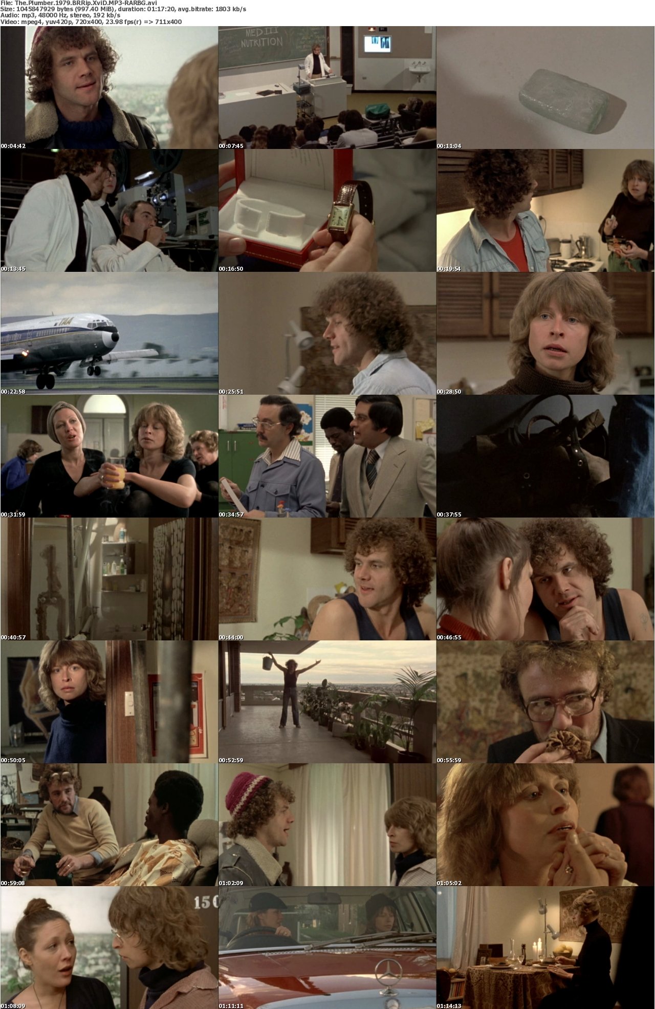 The Plumber 1979 BRRip XviD MP3-RARBG