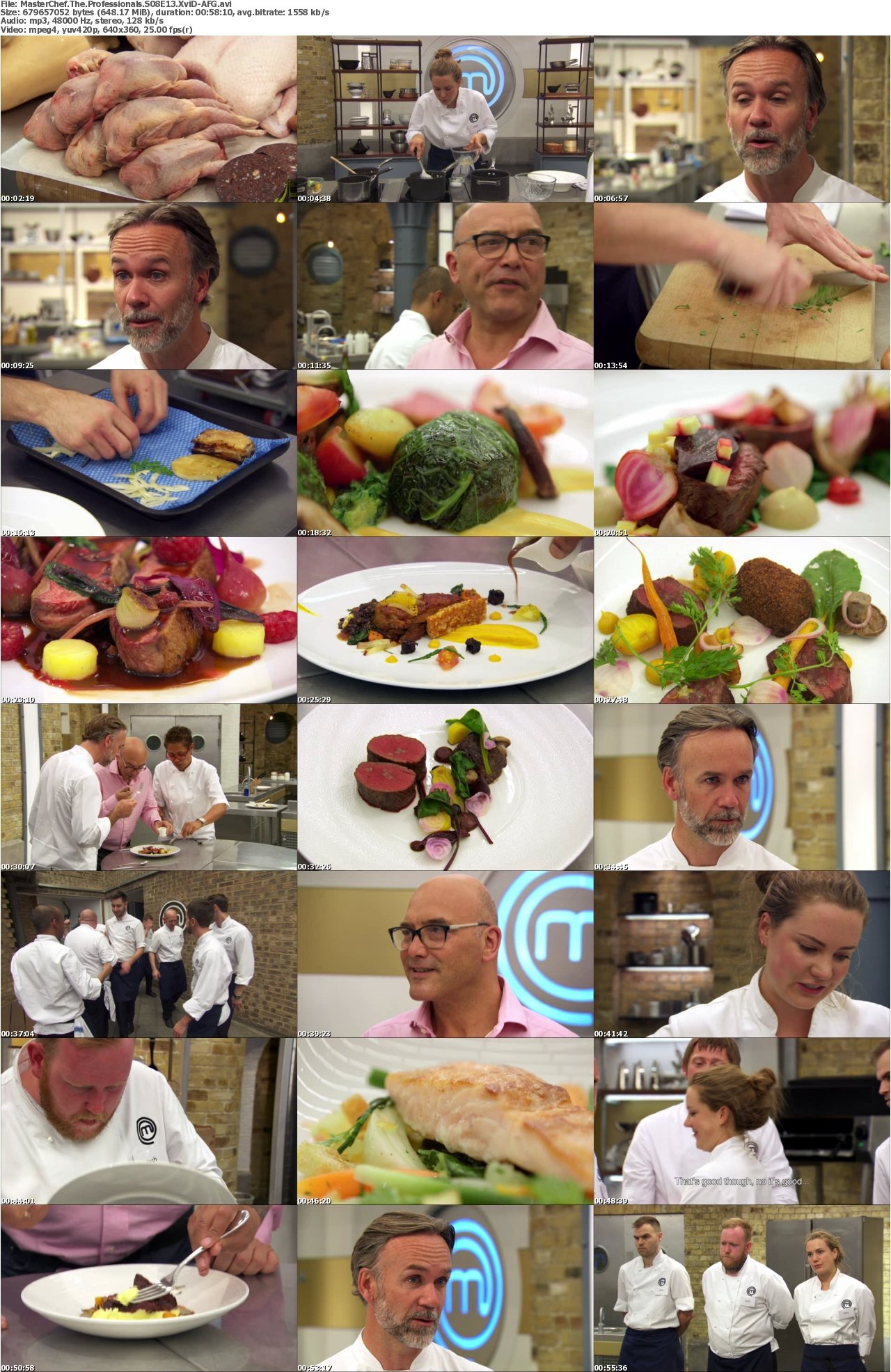MasterChef The Professionals S08E13 XviD-AFG