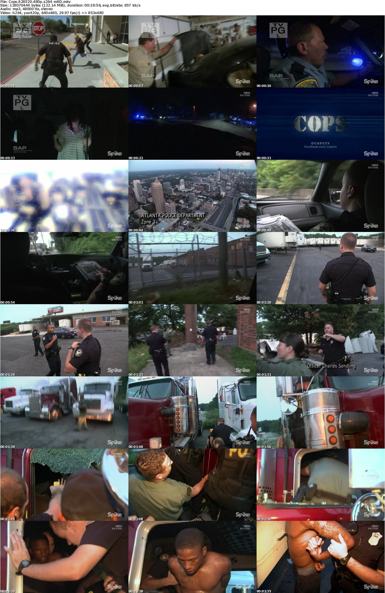 Cops S28E20 480p x264-mSD