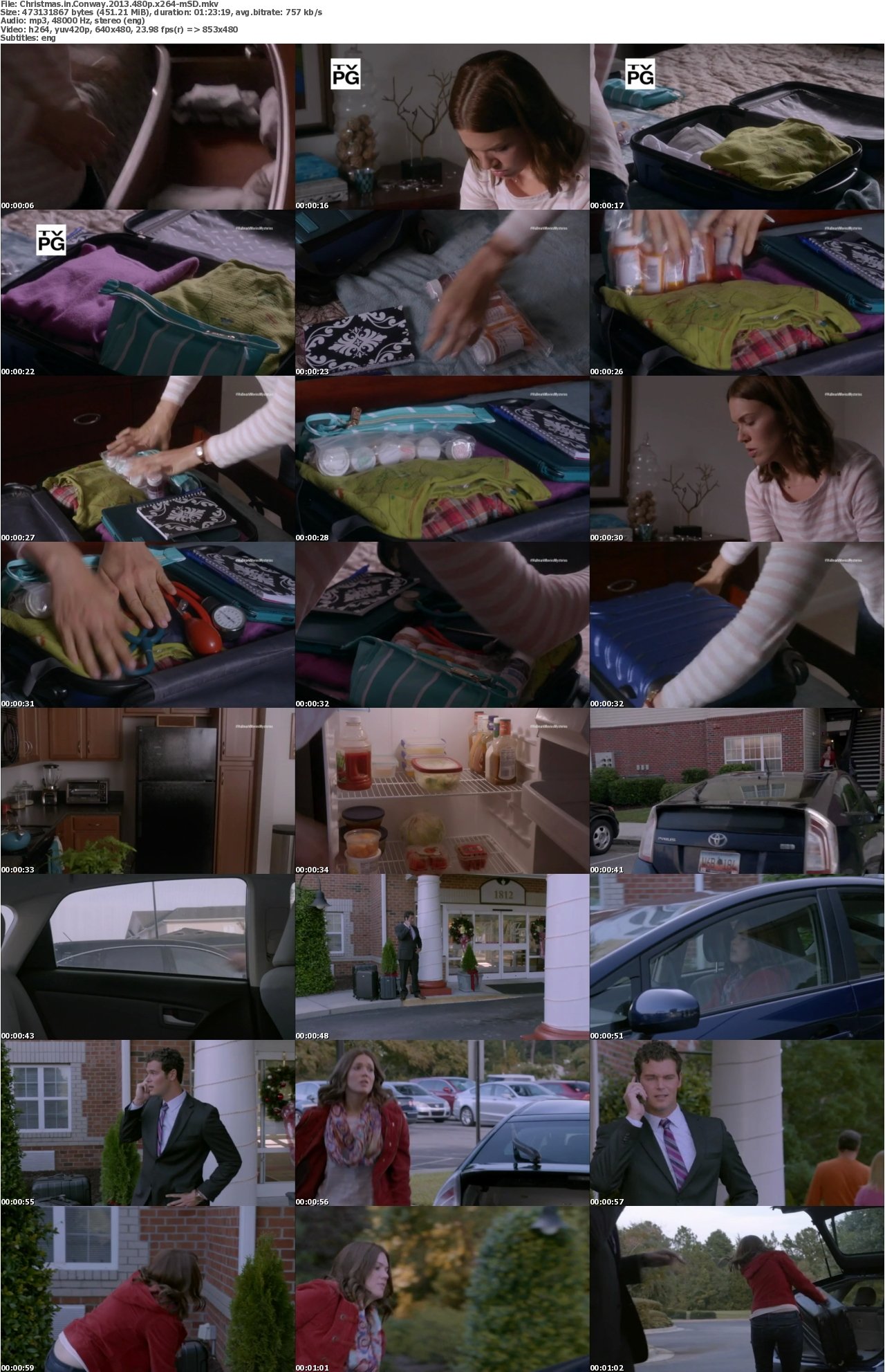 Christmas in Conway 2013 480p x264-mSD