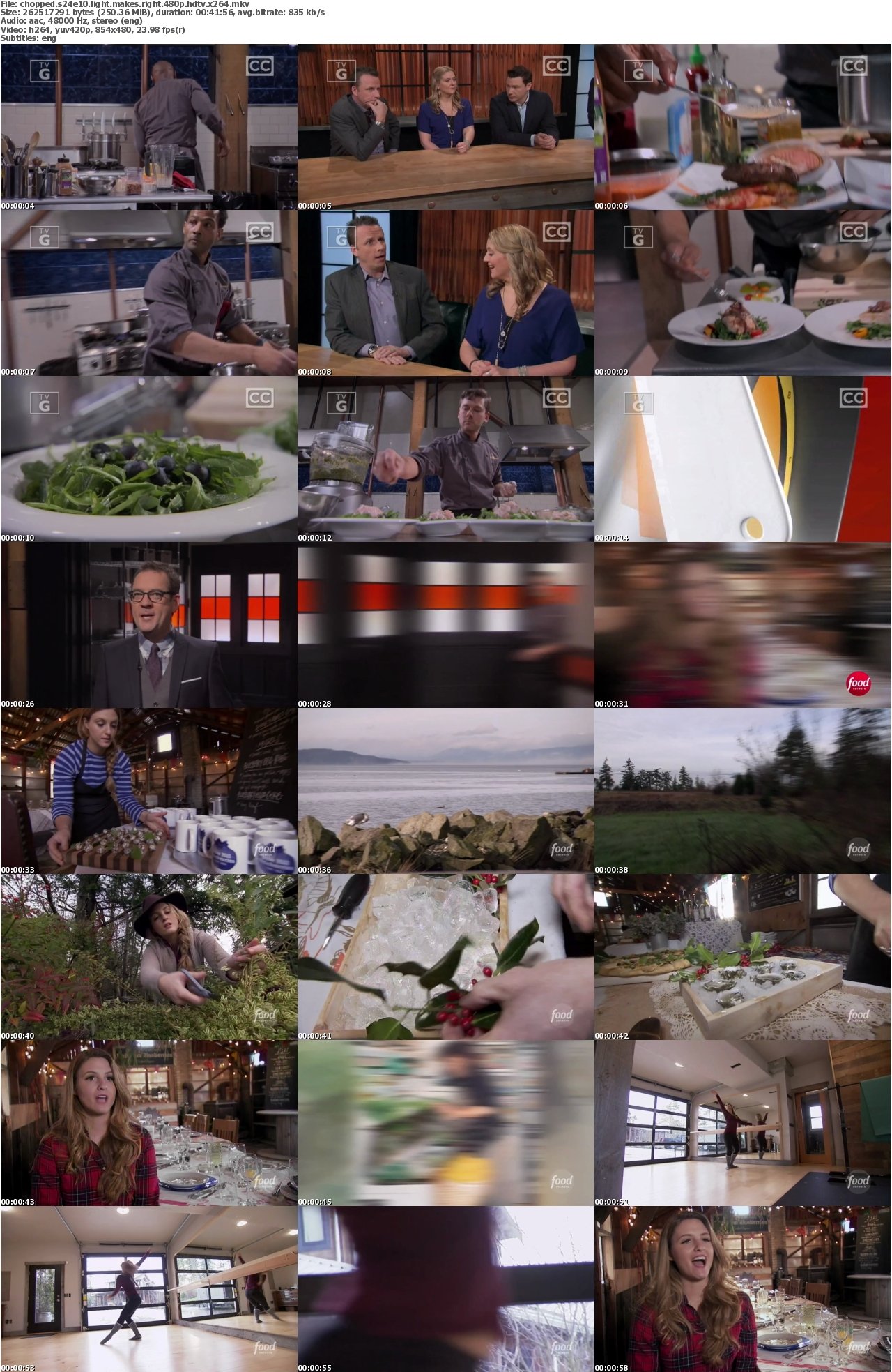 Chopped S24E10 Light Makes Right 480p HDTV x264