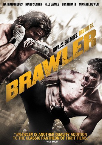 Brawler 2011 720p BluRay H264 AAC-RARBG