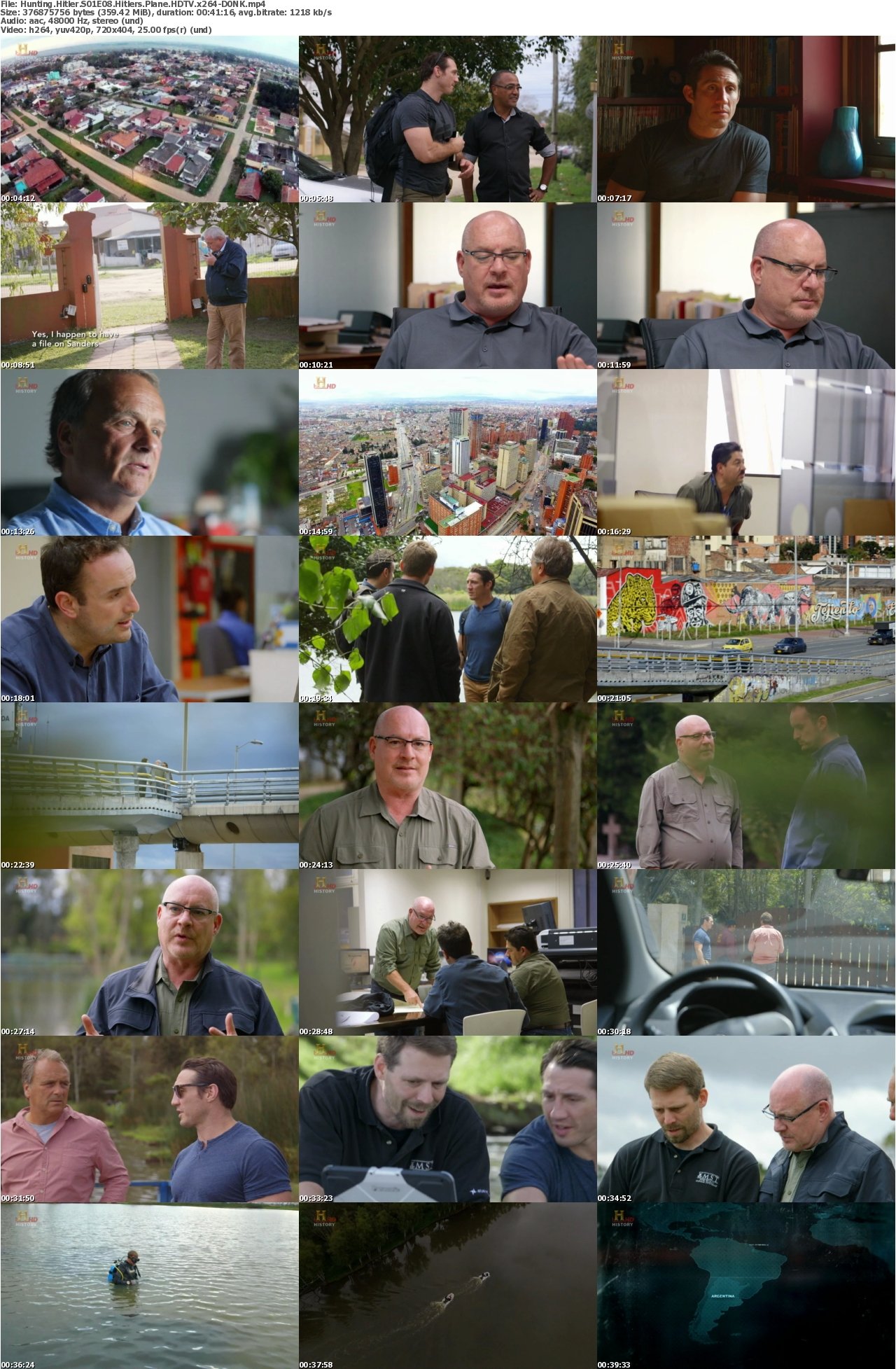 Hunting Hitler S01E08 Hitlers Plane HDTV x264-D0NK