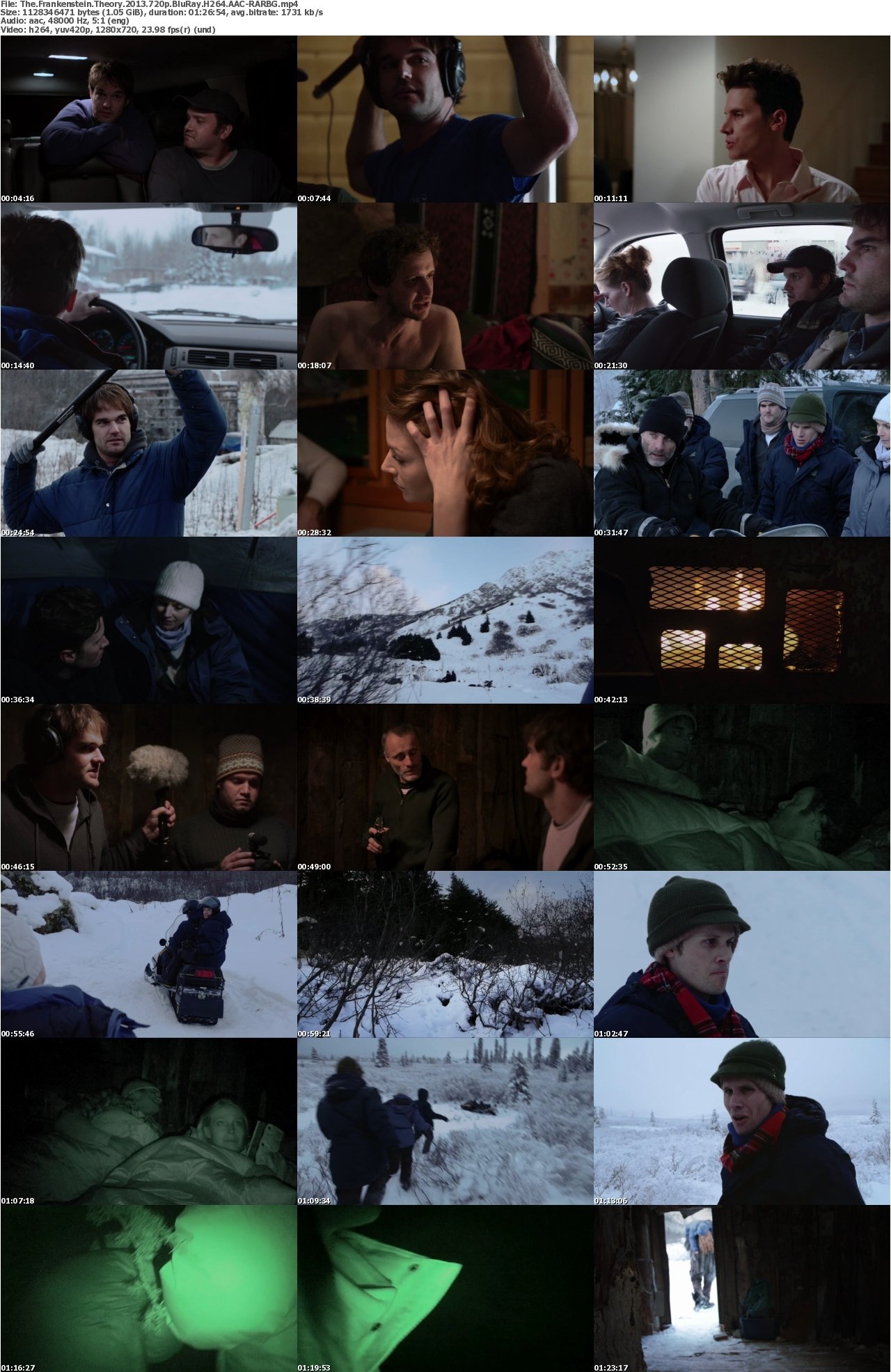 The Frankenstein Theory 2013 720p BluRay H264 AAC-RARBG