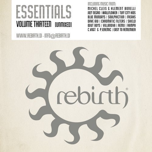 VA - Rebirth Essentials Volume Thirteen (2015)