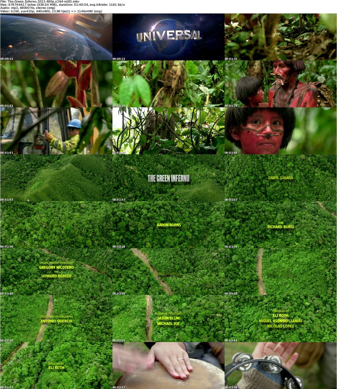 The Green Inferno 2013 480p x264-mSD