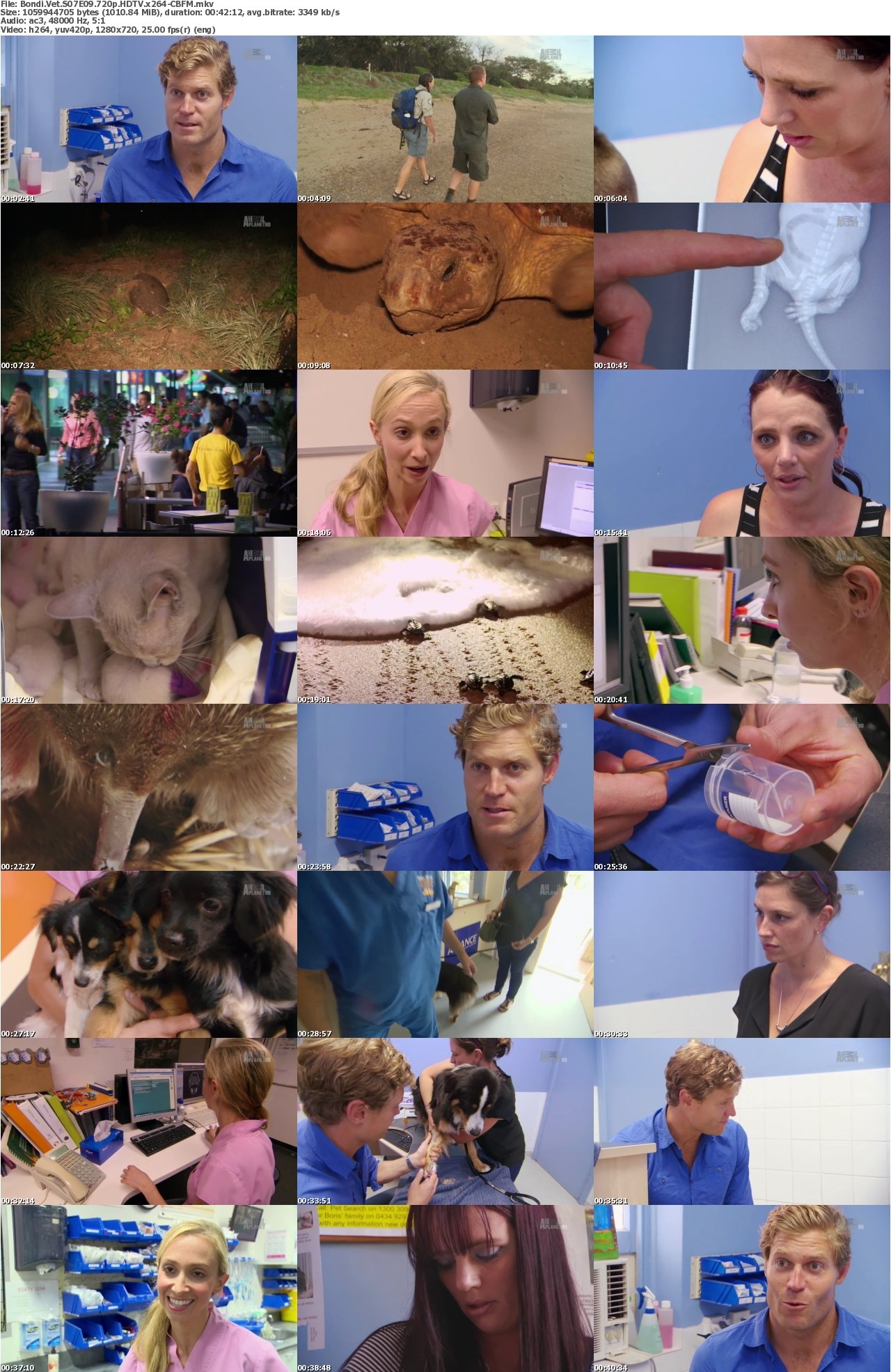 Bondi Vet S07E09 720p HDTV x264-CBFM