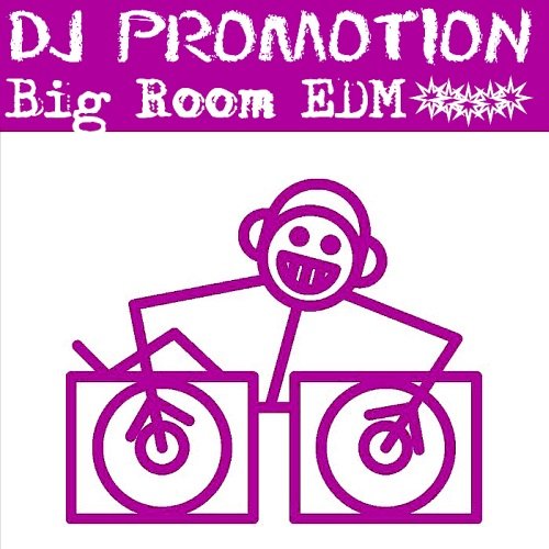 DJ Promotion CD Pool Big Room EDM 411-412 (2015)