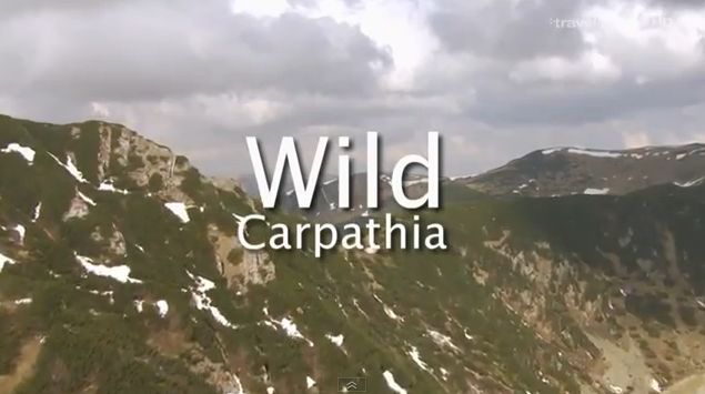 Wild Carpathia (2011) WEBRip 720p x264-MVGroup