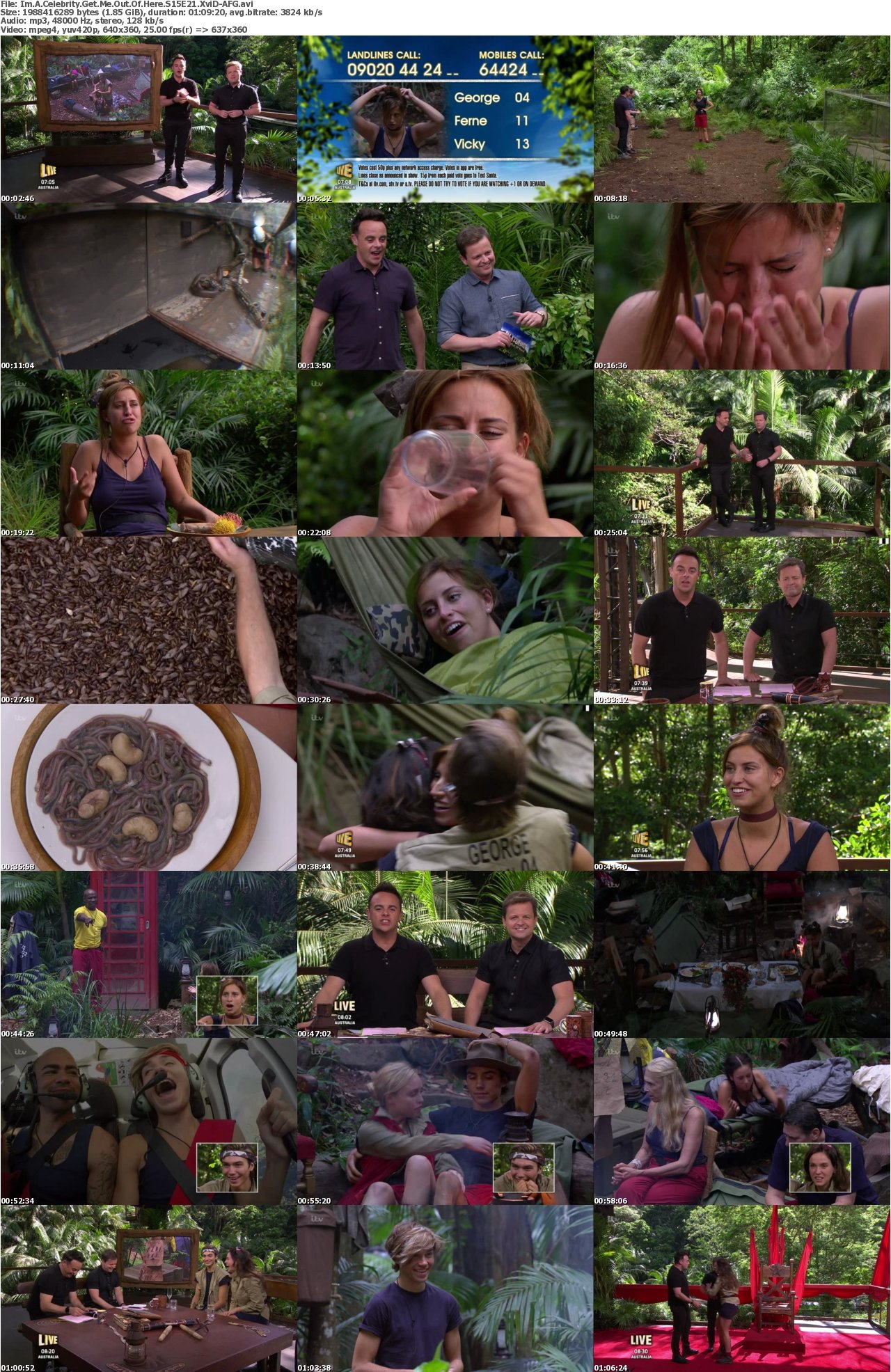 Im A Celebrity Get Me Out Of Here S15E21 XviD-AFG