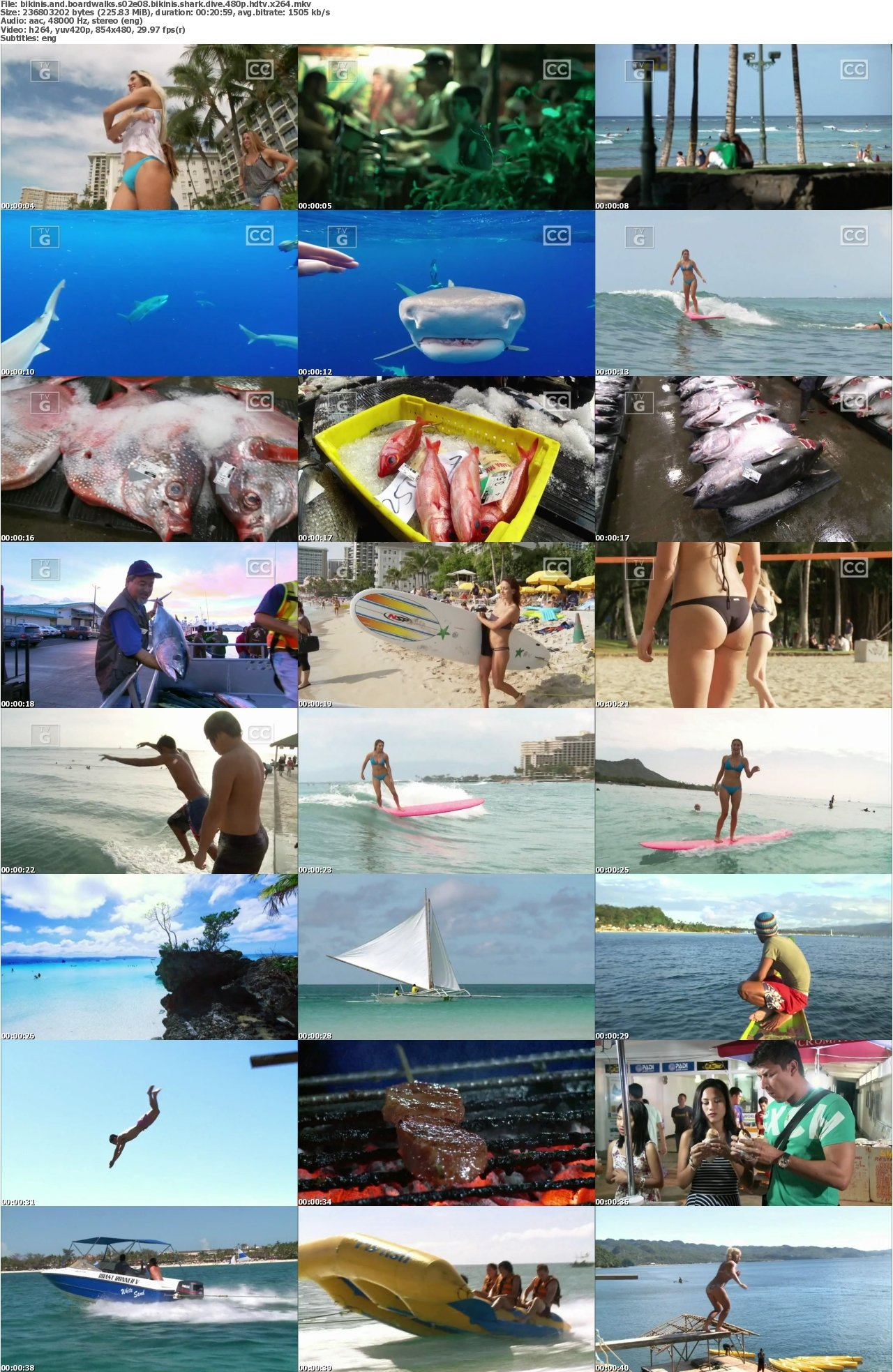 Bikinis and Boardwalks S02E08 Bikinis Shark Dive 480p HDTV x264