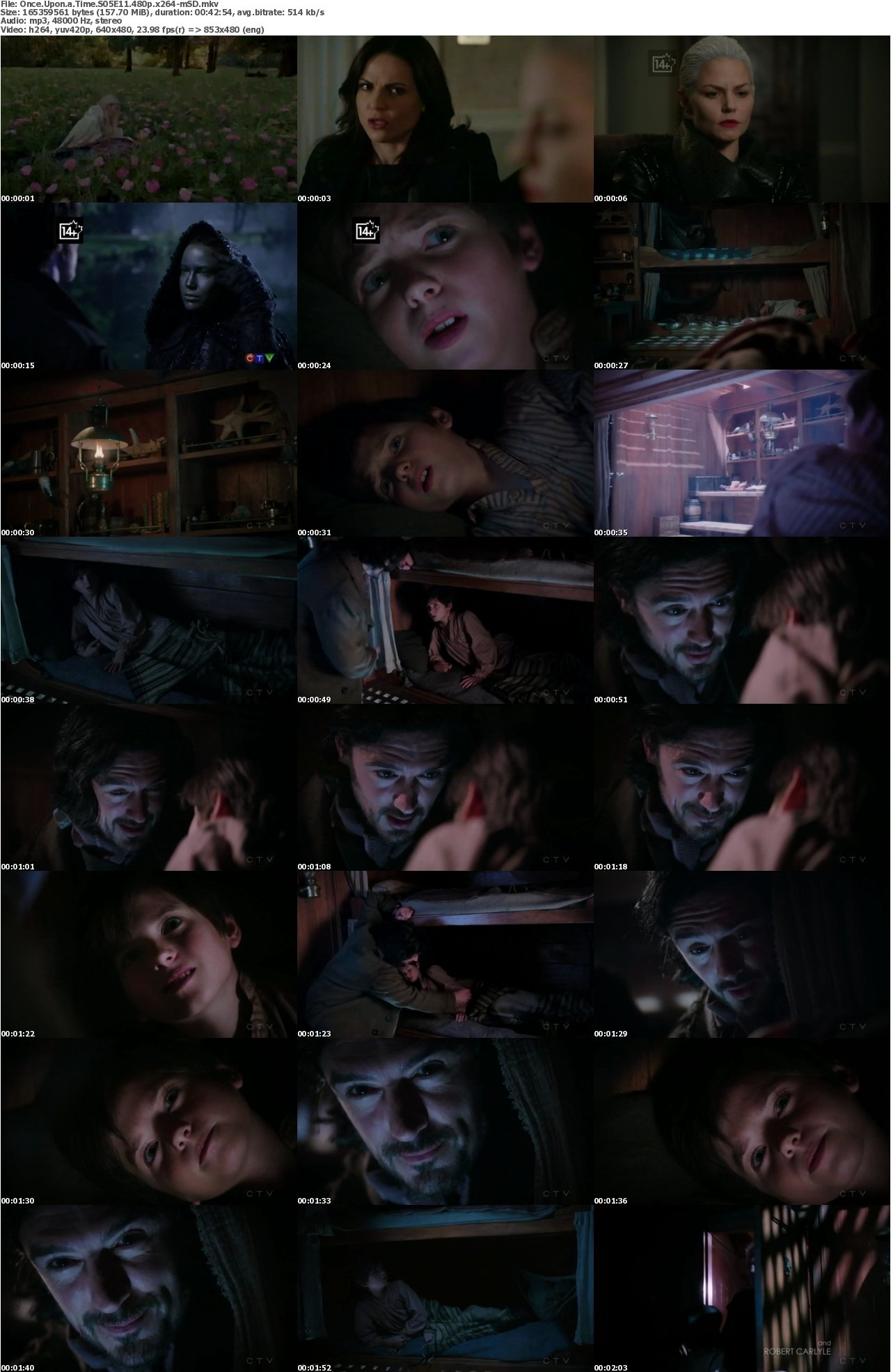 Once Upon a Time S05E11 480p x264-mSD