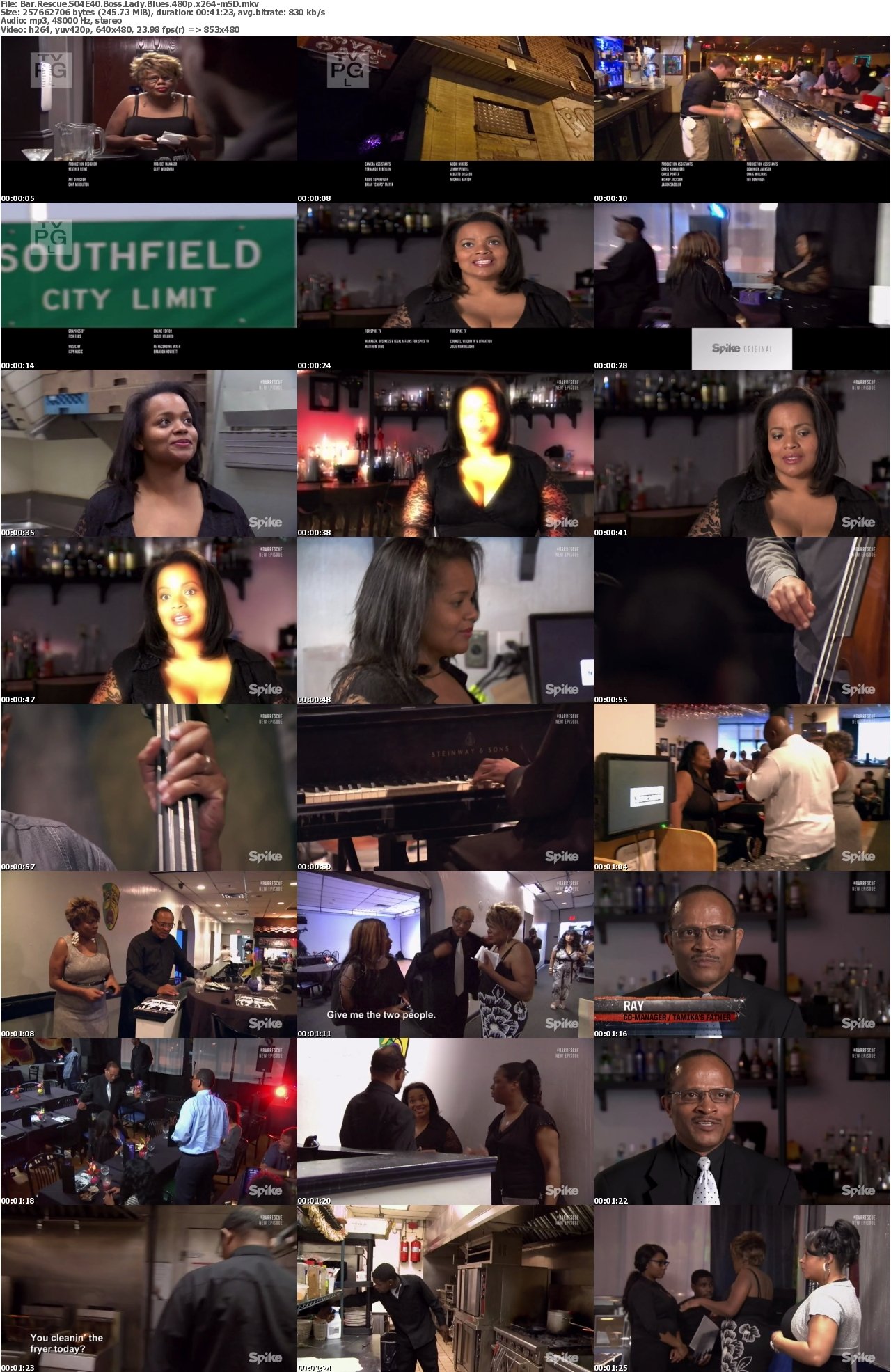 Bar Rescue S04E40 Boss Lady Blues 480p x264-mSD