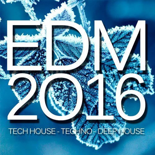 VA - EDM 2016 (2015)