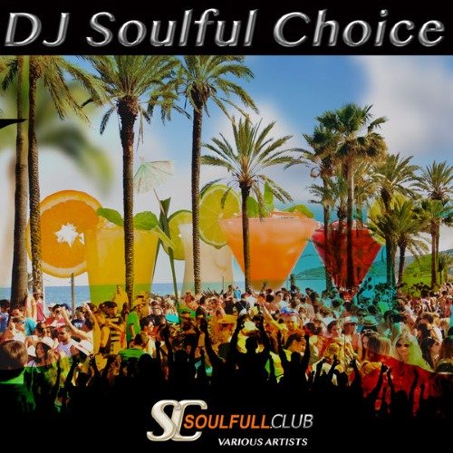 VA - DJ Soulful Choice (2015)