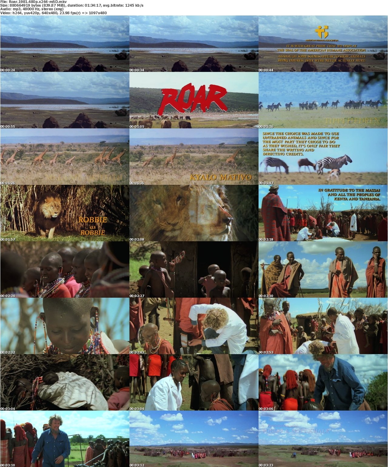 Roar 1981 480p x264-mSD