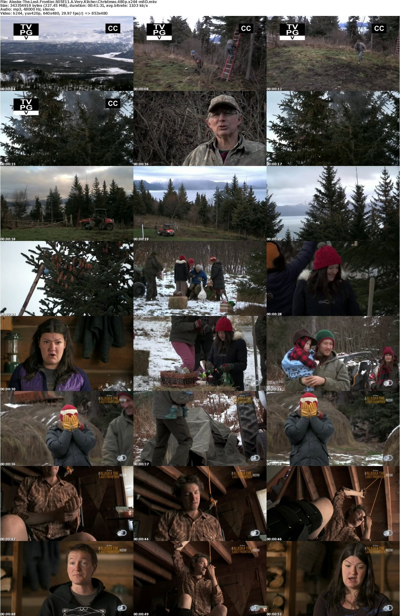 Alaska-The Last Frontier S05E11 A Very Kilcher Christmas 480p x264-mSD