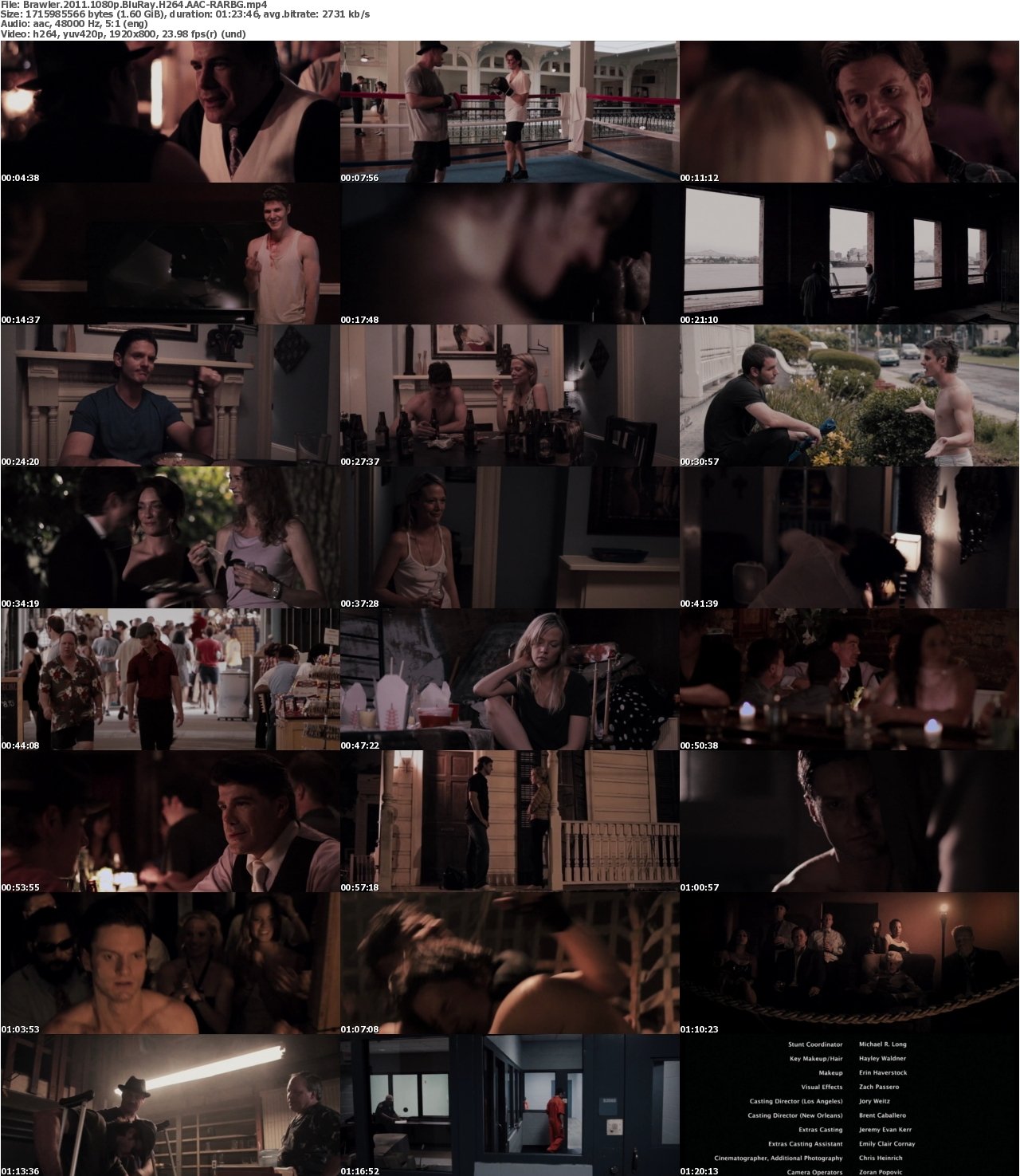 Brawler 2011 1080p BluRay H264 AAC-RARBG