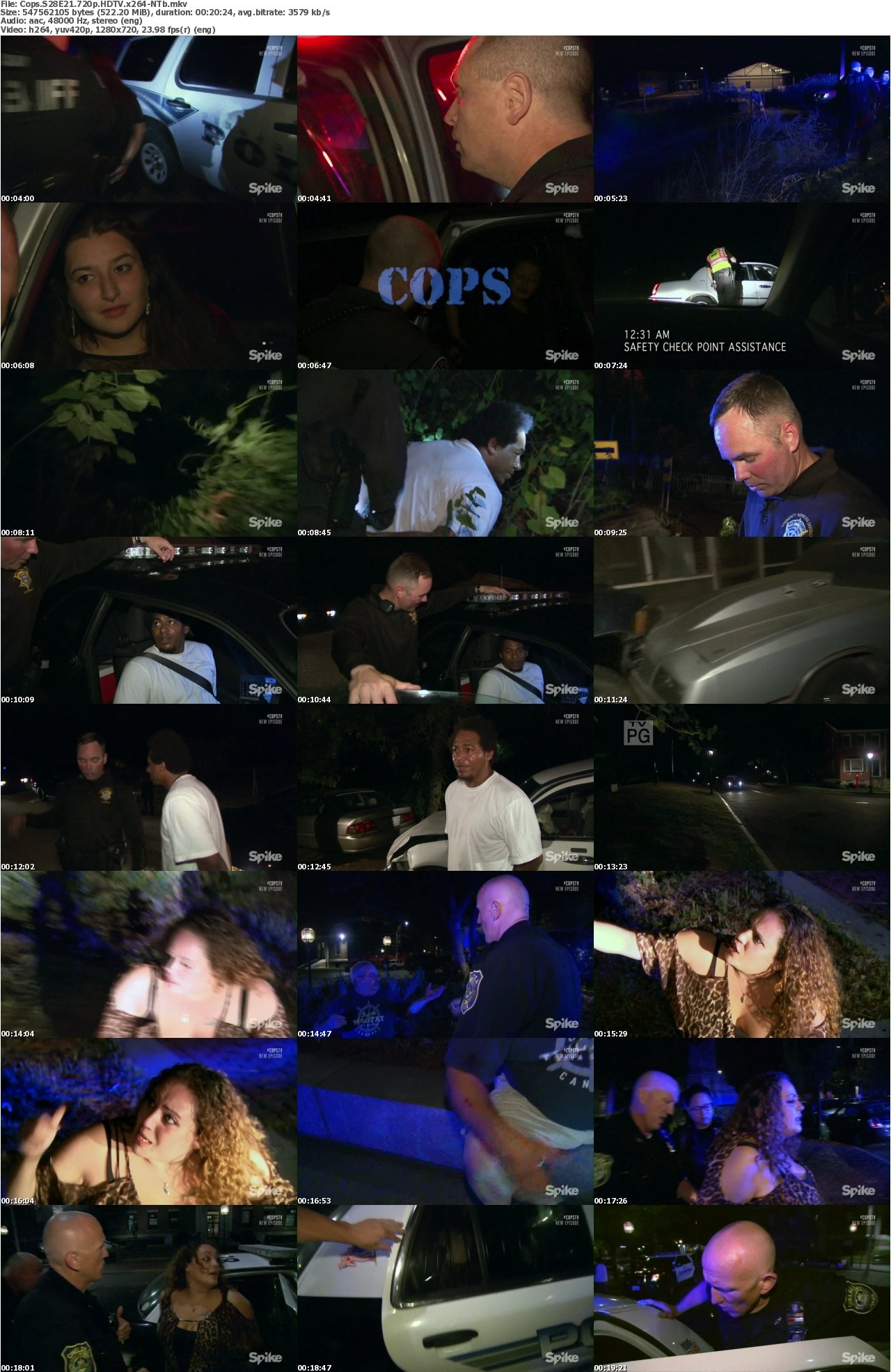 Cops S28E21 720p HDTV x264-NTb