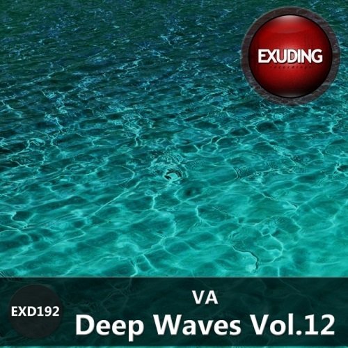 VA - Deep Waves Vol 12 (2015)