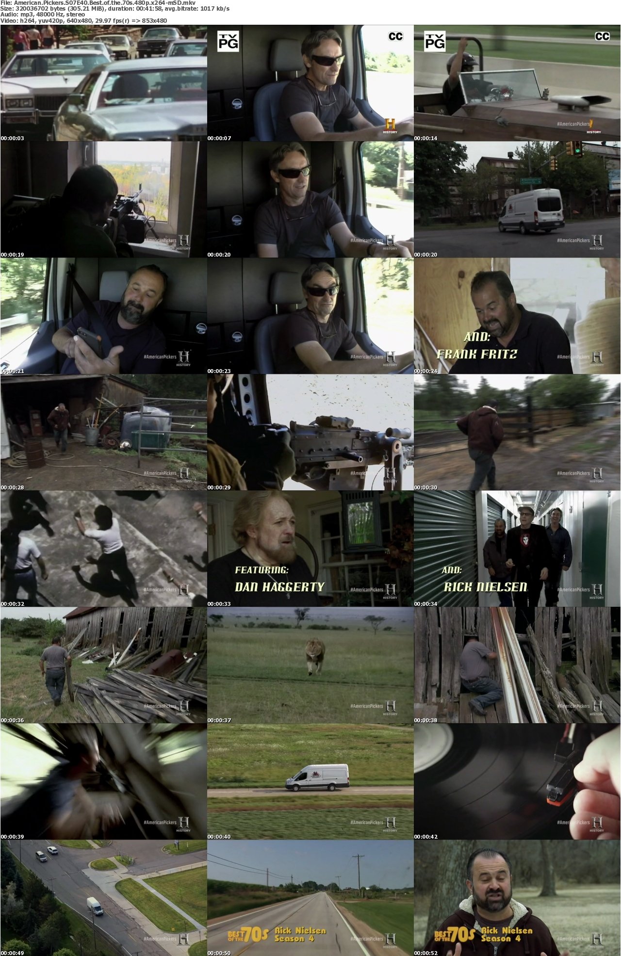 American Pickers S07E40 Best of the 70s 480p x264-mSD