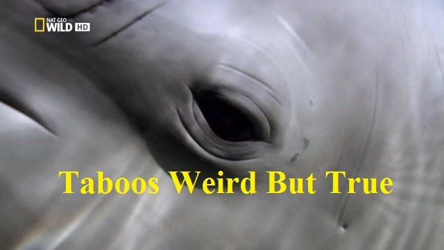 National Geographic - World's Weirdest: Animal Weird But True (2015) 720p HDTV x264-SQUEAK
