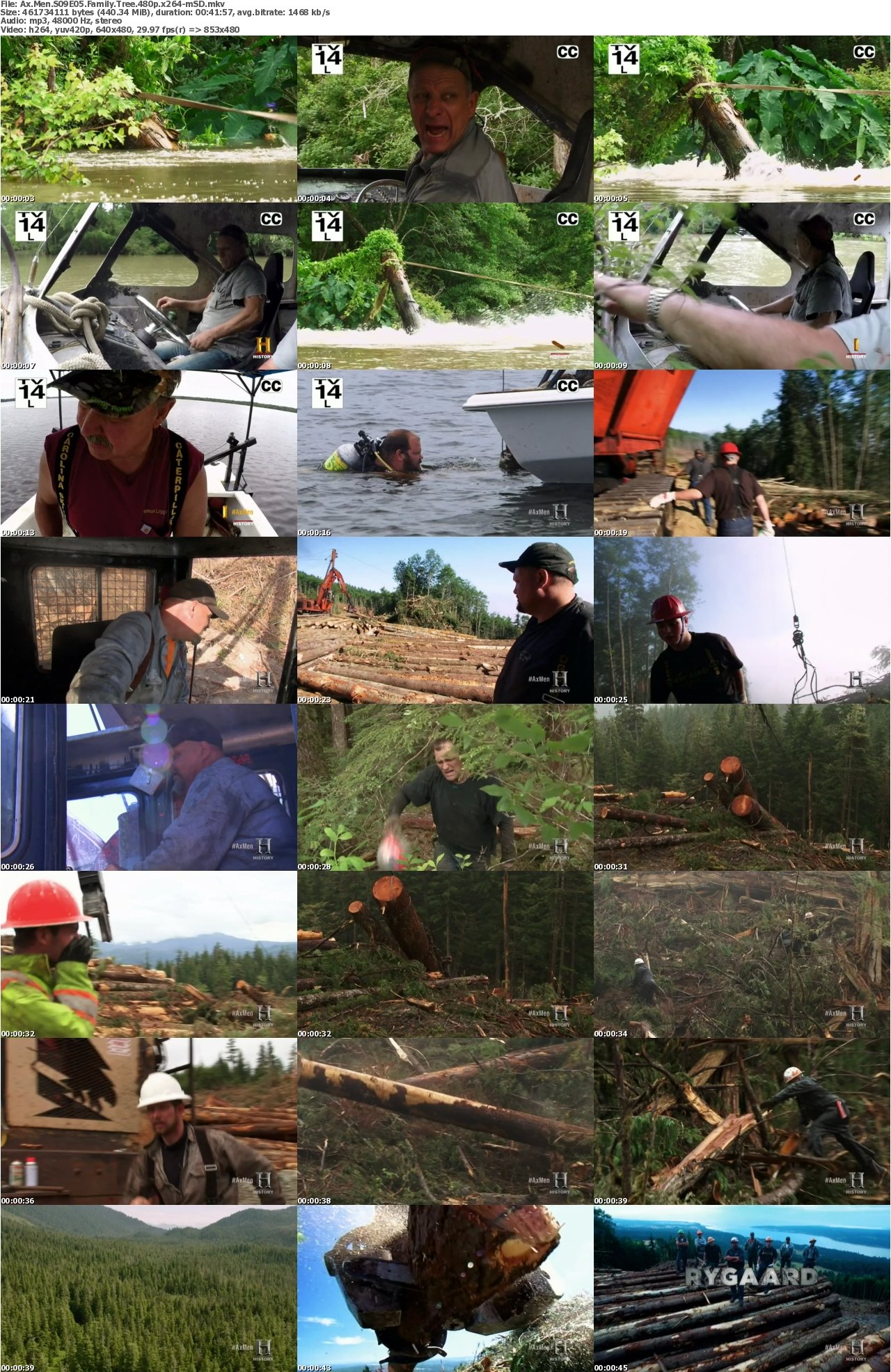 Ax Men S09E05 Family Tree 480p x264-mSD