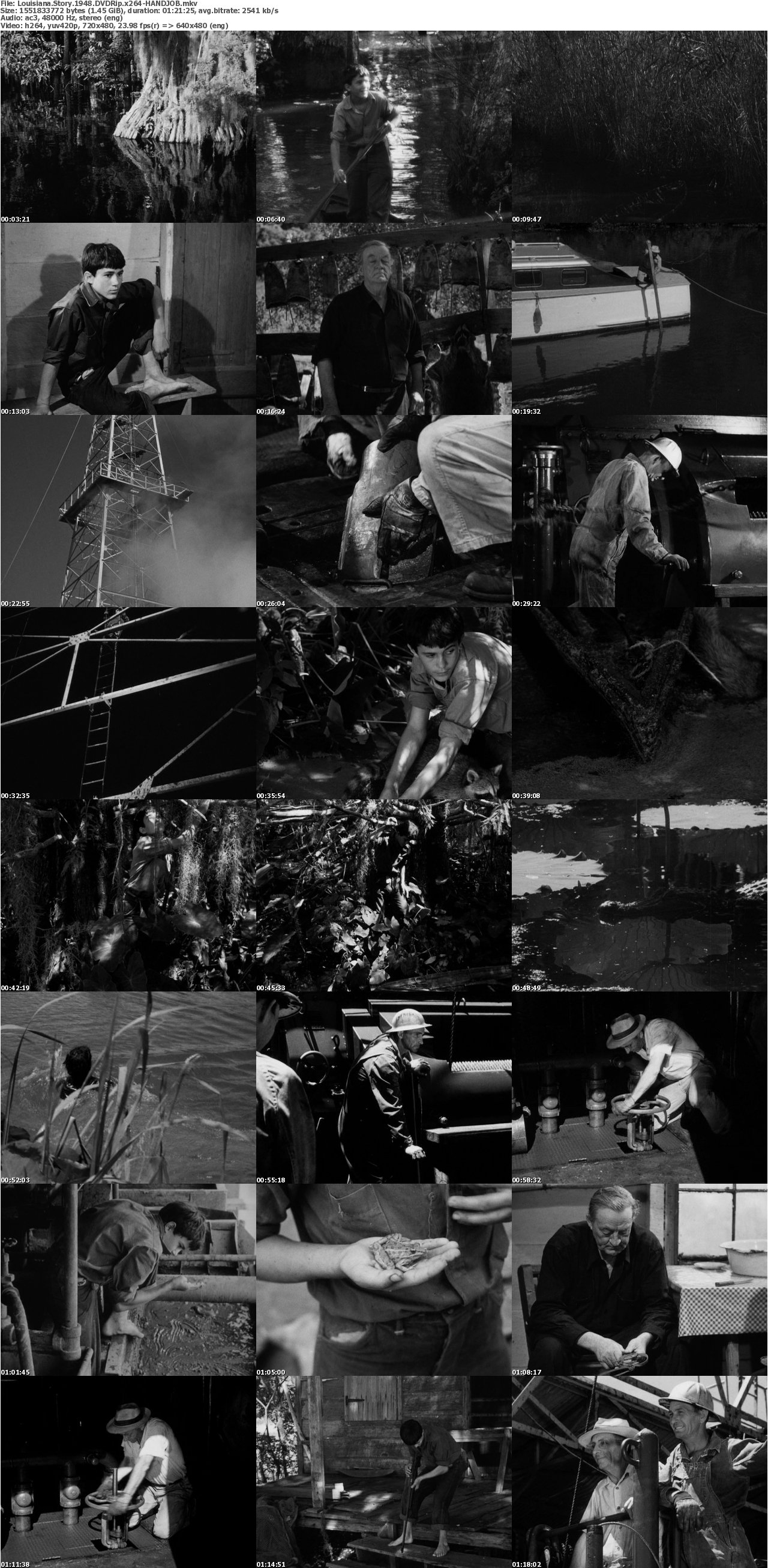 Louisiana Story 1948 DVDRip x264-HANDJOB
