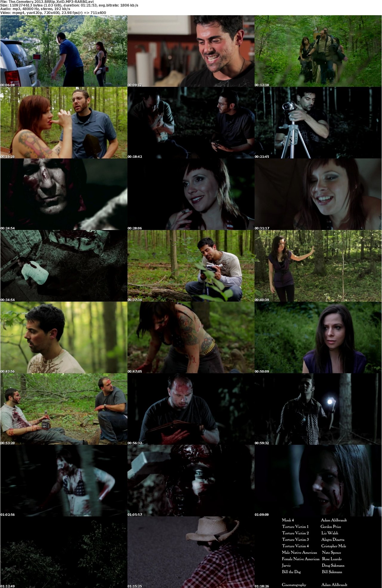 The Cemetery 2013 BRRip XviD MP3-RARBG