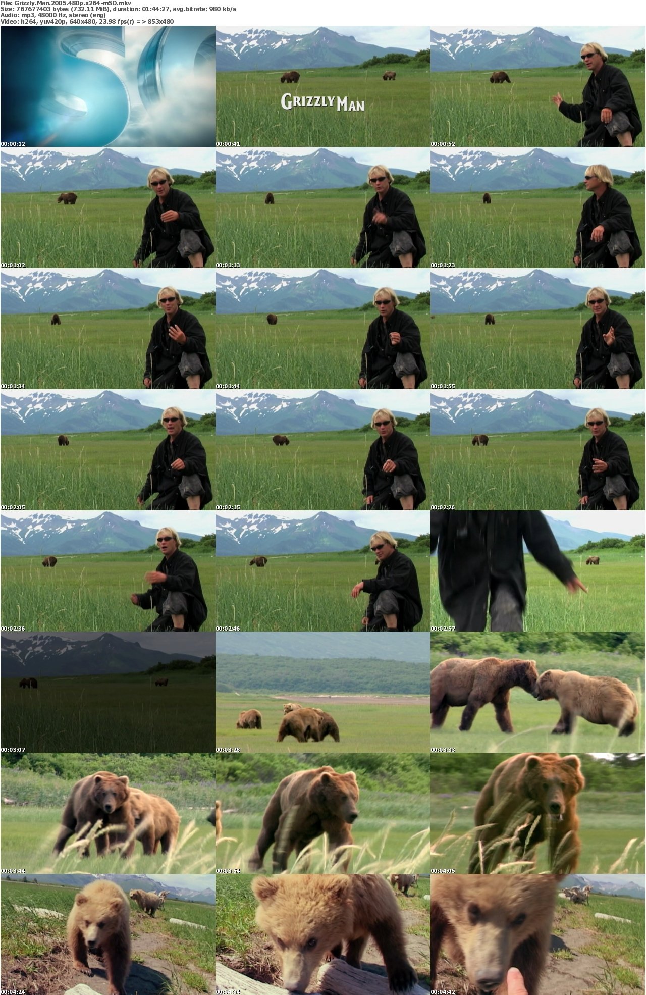 Grizzly Man 2005 480p x264-mSD