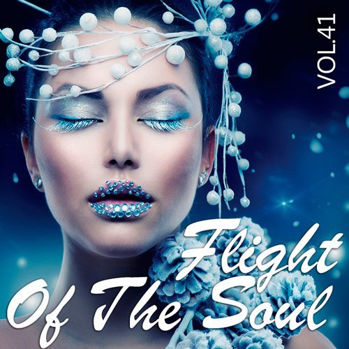 VA - Flight Of The Soul Vol.41 (2015)
