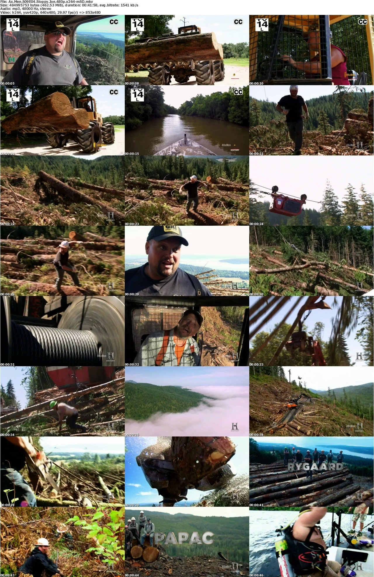 Ax Men S09E04 Sloppy Joe 480p x264-mSD