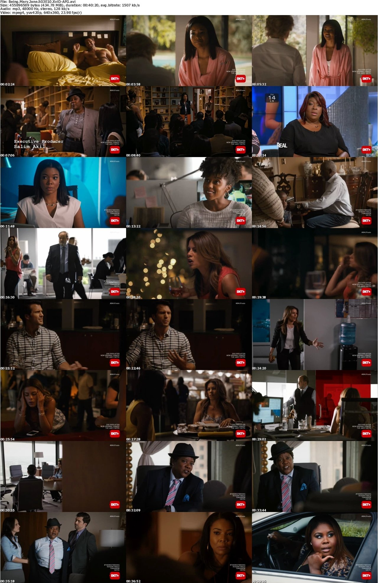 Being Mary Jane S03E10 XviD-AFG
