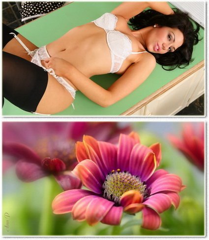 Wallpapers on a desktop 822