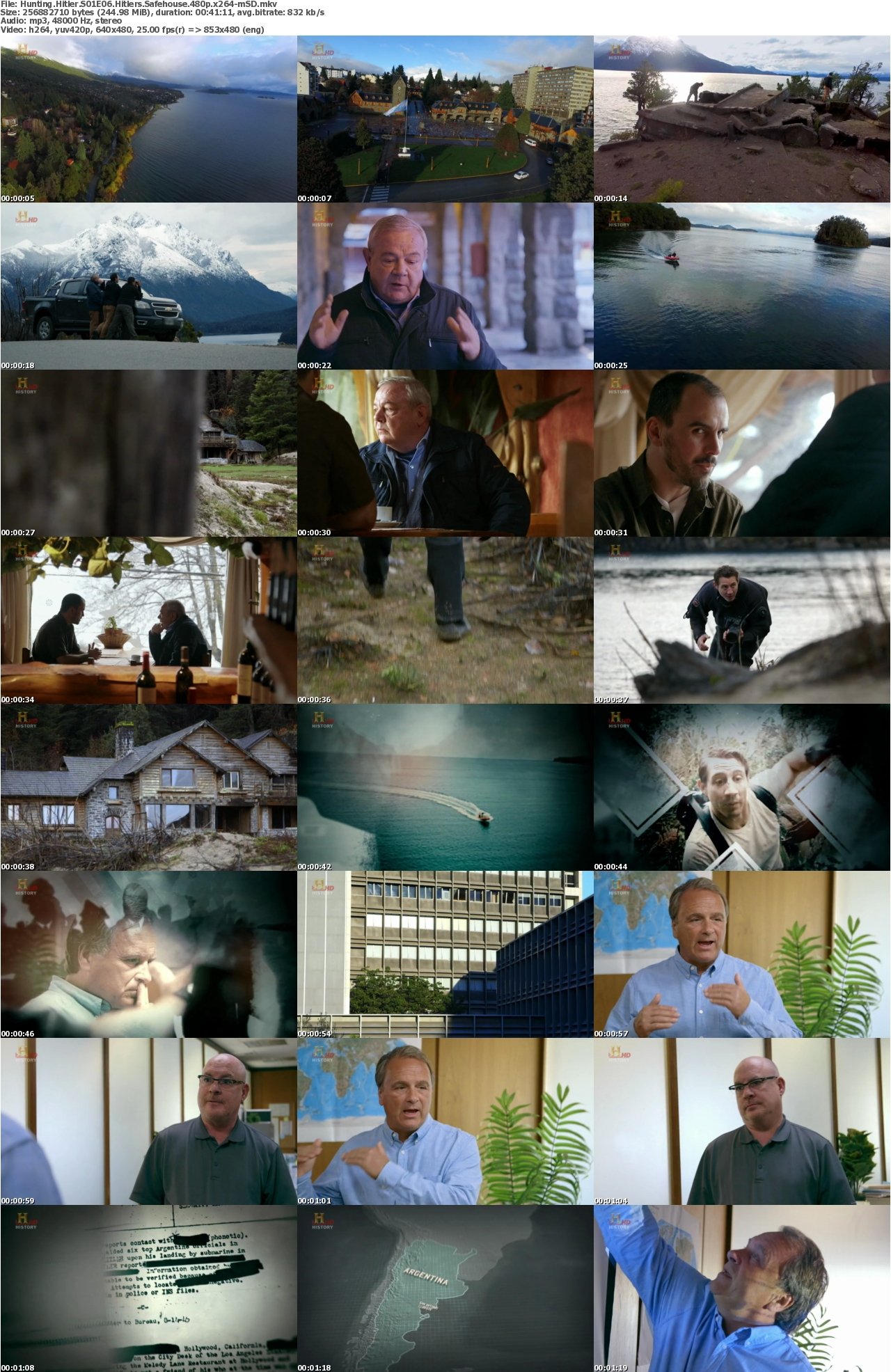 Hunting Hitler S01E06 Hitlers Safehouse 480p x264-mSD