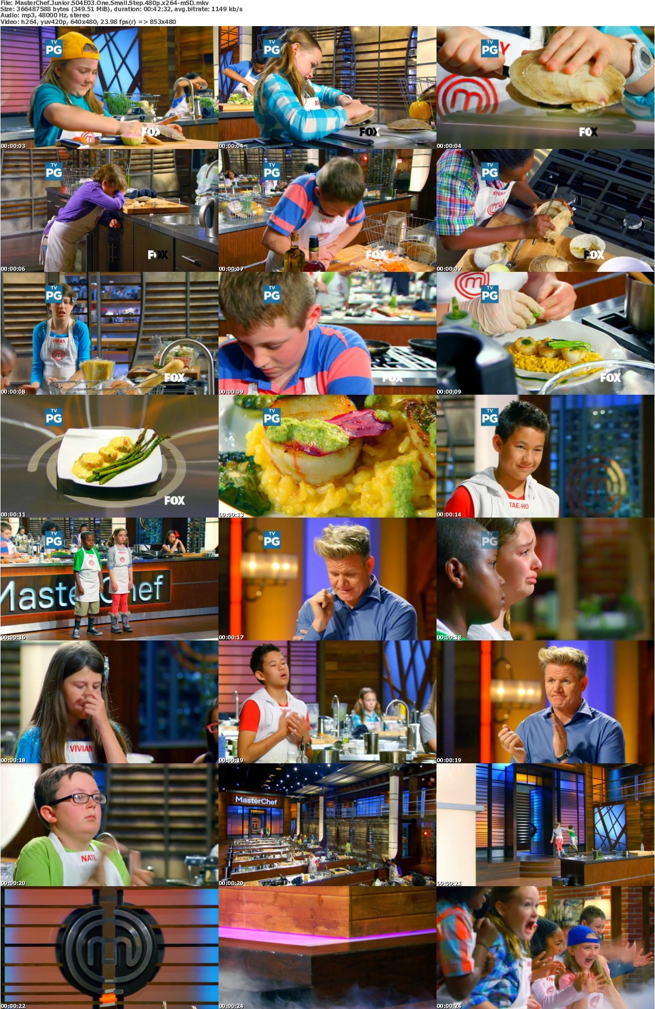 MasterChef Junior S04E03 One Small Step 480p x264-mSD