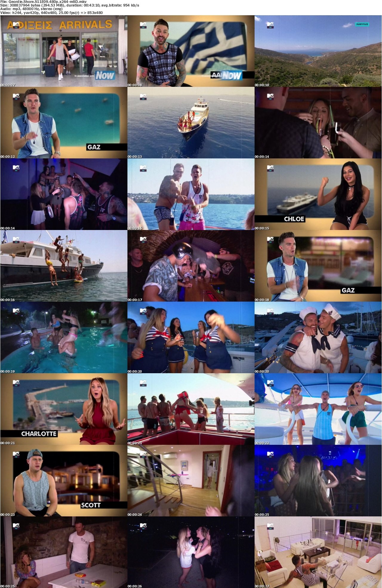 Geordie Shore S11E09 480p x264-mSD