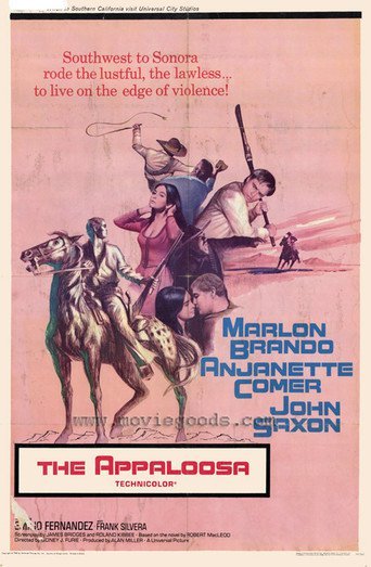 The Appaloosa 1966 BRRip XviD MP3-RARBG