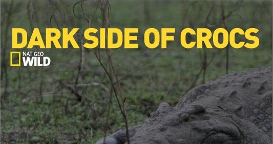 National Geographic - Dark Side of Crocs (2015) 720p HDTV x264-SQUEAK