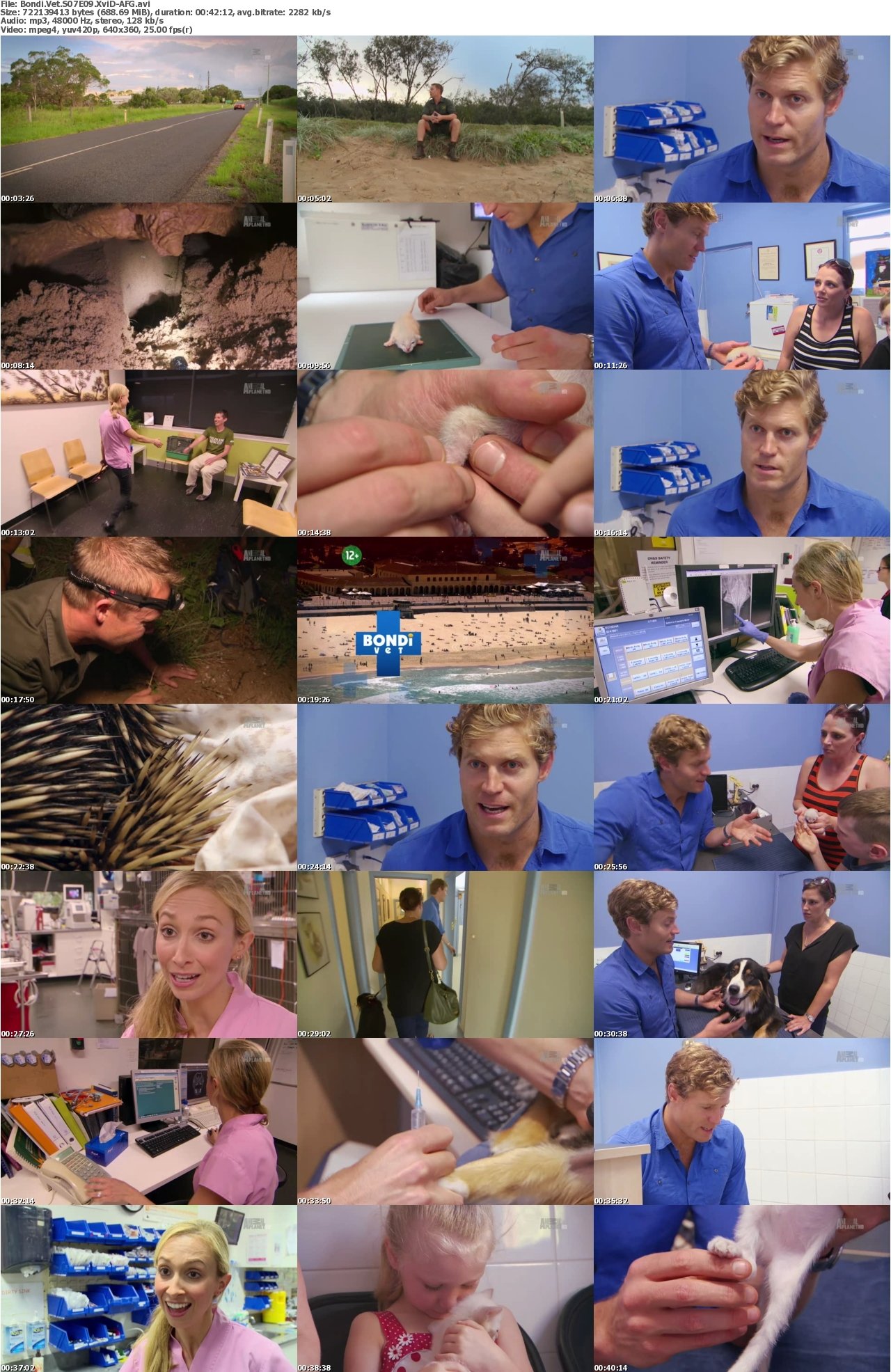Bondi Vet S07E09 XviD-AFG