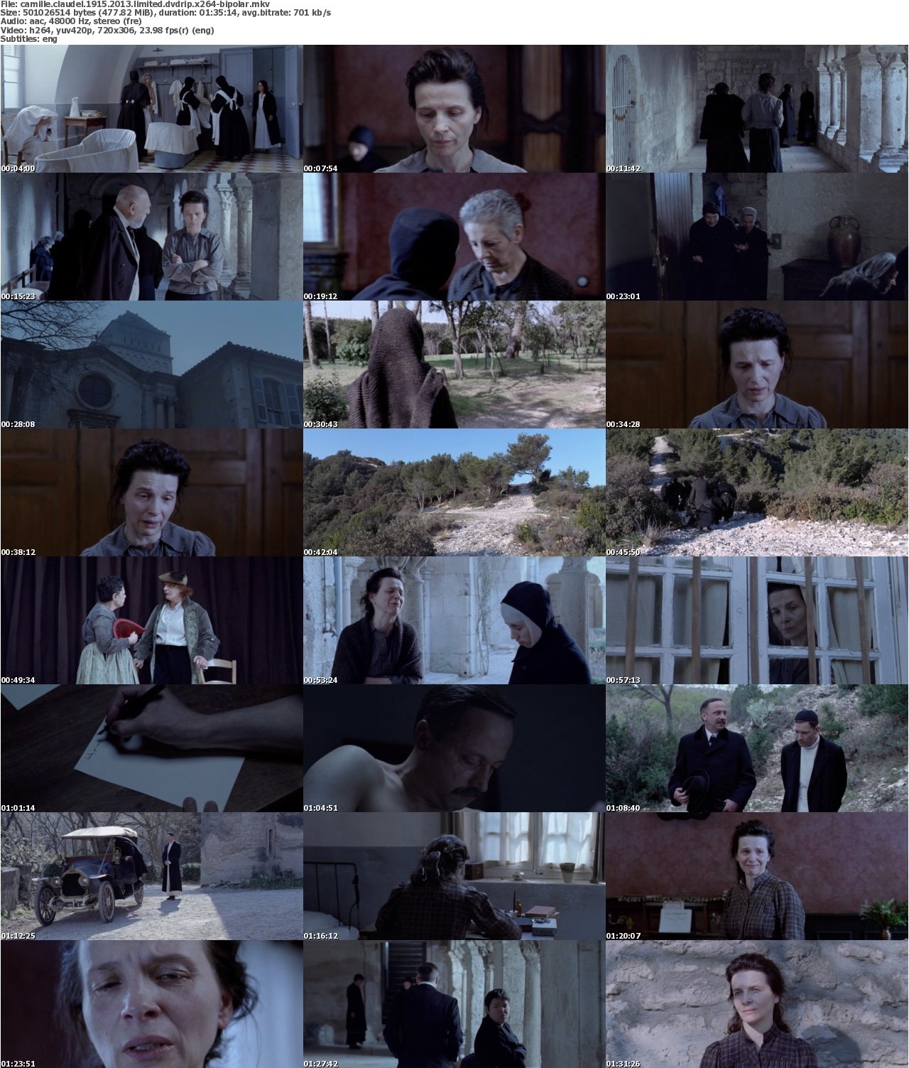 Camille Claudel 1915 2013 LIMITED DVDRip x264-BiPOLAR
