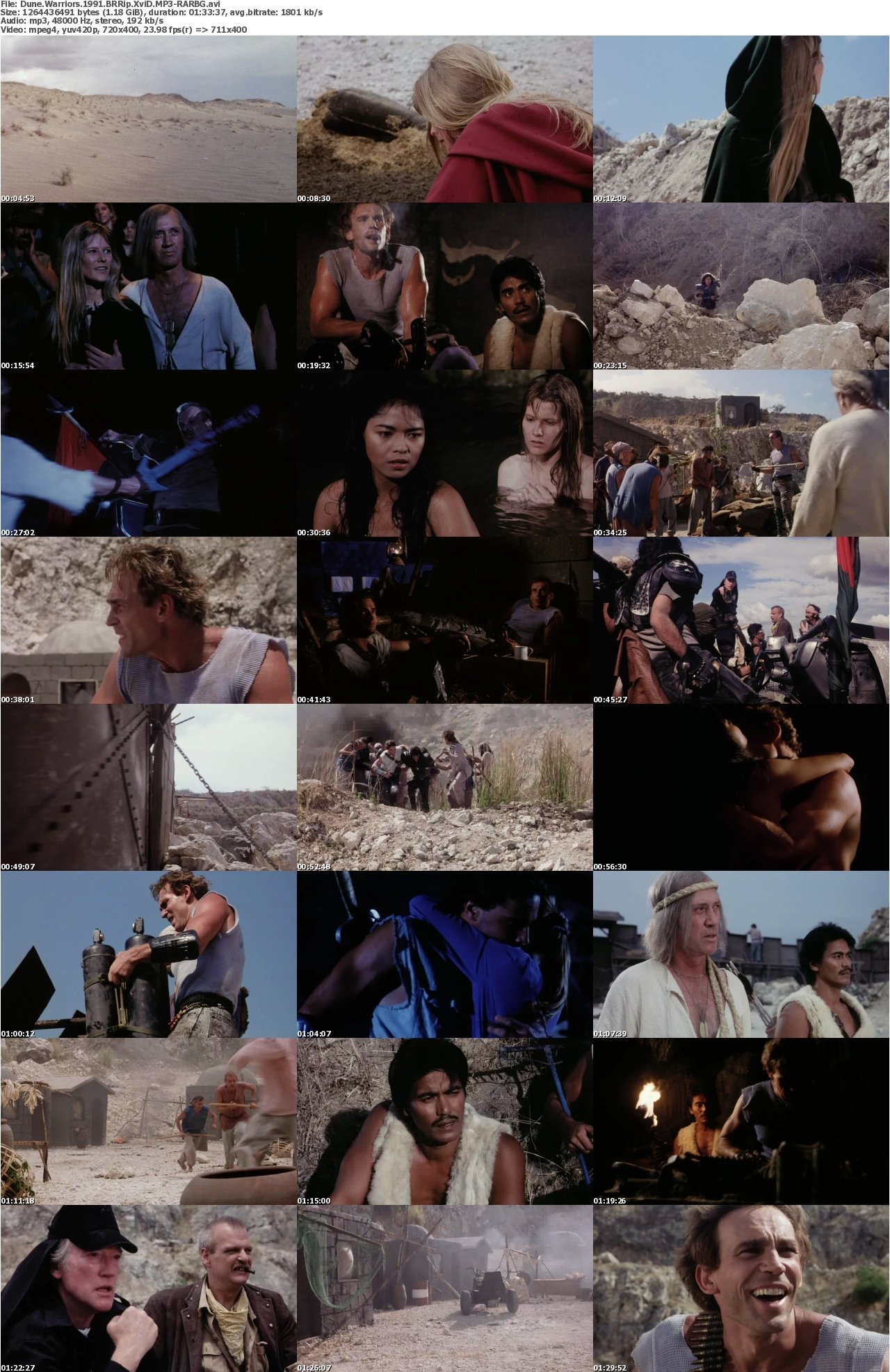 Dune Warriors 1991 BRRip XviD MP3-RARBG
