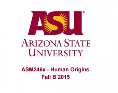 Arizona State University - Human Origins Fall B 2015
