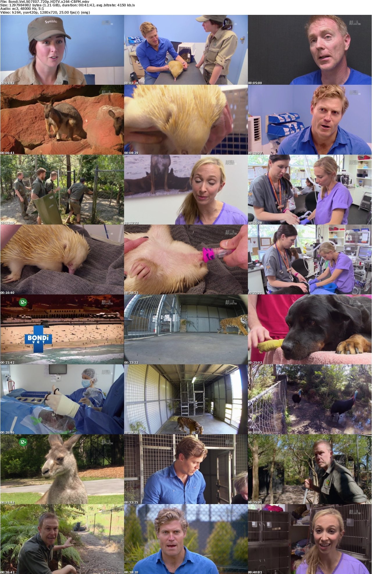 Bondi Vet S07E07 720p HDTV x264-CBFM